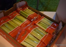 Snacking celery in individual packs from Horto Fortini España.