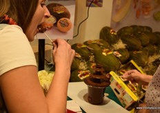 Tasting of melons with chocolate from El Copón.