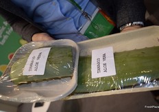 Fresh organic aloe vera leaves for cosmetic use, a new product from Tana.