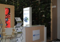 Gramm Agropecuaria S.A., a company specialised in the production and export of blueberries.