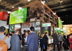 The Costa Rican stand was bigger and better. They continue to improve every year.