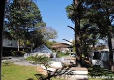 The location of this expo and conference was beautiful