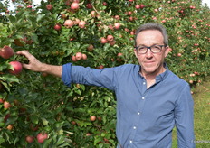 Albert Richard with one of his Pink Lady trees. Harvest will commence this month.