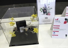 Among the novelties presented at Sana Food: WDRINK, a brand of Sigroup International, which qualifies a single botanical line of non-alcoholic distillates. A 100% natural aromatic water, obtained by steam distillation of the edible parts of the plant, carried out in their balsamic moment, without the addition of flavourings, preservatives, sugar or alcohol.