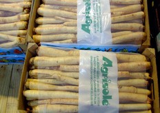 Bitter root from Soncino by Pighi Vittorio stand.