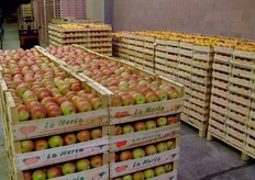 Tre S Frut assortment.