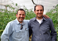 Together with Rosario Privitera (on the left), a tomato specialist for De Ruiter Seeds (now Monsanto Vegetable Seeds), FreshPlaza then visited the greenhouses of the producer association Piombo, represented by Massimo Gambuzza (on the right).