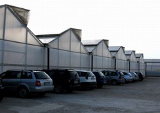 Making a comparison with the tomato production in Holland, Kamarina Garden decided to import Dutch methods and structures in Italy, achieving a successful union between the Sicilian passion and the Dutch technology.