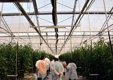 The interior of one of the greenhouses, each covers one hectare.