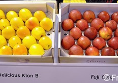 Cultivar of apples displayed at the stand of the Feno nurseries.
