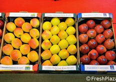 Apples on display at the stand of the Malleier nurseries.