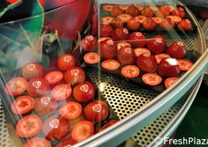 The Redlove apple, besides the flashy, it also has a unique aroma. The tree is resistant to scab.