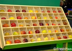 The amazing apple biodiversity on display at the stand of the Centre of South Tyrol Agriculture and Forestry research at Laimburg.