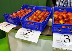 New resistant apple varieties in the testing phase.