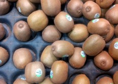 Kiwis imported from Italy.