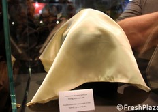 Mysteries... to be continued!