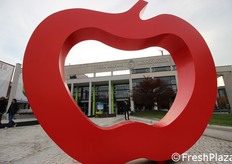 The iconic sculpture that welcomes visitors to Interpoma 2016 is reminiscent of the protagonist of this event - apples.