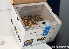 Natupol Excel – Bumble Bee Vision from Koppert Biological Systems, which came in third.