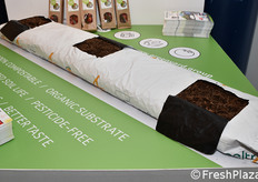 Sustainable Grow Bag for Tasty Tomatoes from Greenyard Horticulture Belgium.