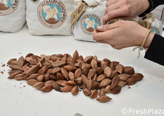 The Cracking Monkey – Pili Nuts from Die Frischebox GmbH, which came in second.