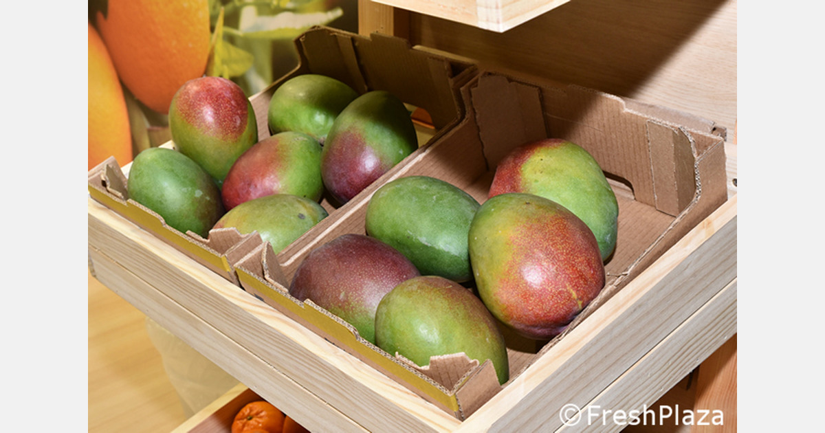 "Italy is the seventh European importer of mangoes and the fifth of avocados"