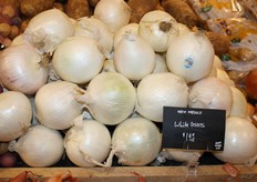 White onions from Mexico