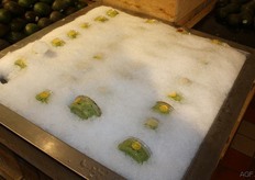 Guacamole, neatly next to the avocados