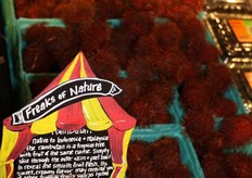 Rambutan from Guatamala