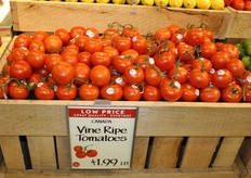 Canadian tomatoes on the vine