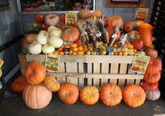 2 pumpkins for $15, but they’re big