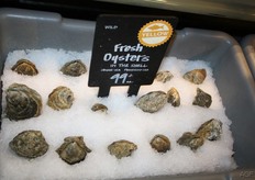 Fresh oysters