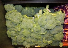 Broccoli stacked up