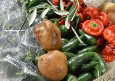 A typical Egyptian fruit: Doum. The fruit is hard like a rock and can be eaten fresh, but Sherif Attia of Green Egypt prefers grinding the fruit to a powder, using it to make a kind of tea.