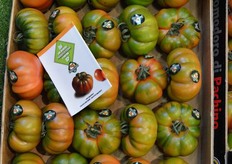 These Marinda tomatoes of Sicilian Pomodori di Pachino are appreciated more and more in Germany.