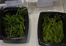 Seaweed is mainly used as decoration and in restaurants.