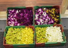 Edible flowers are also encountered a lot.