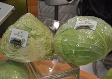 The Coolwrap, a Bejo product, is a different way to make wraps.