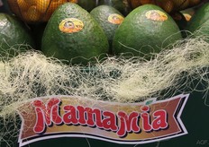 We don't see many of these large green avocados in Europe