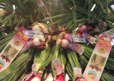 red spring onions
