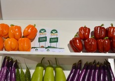 Dominican Republic also tries to ship more greenhouse vegetables to the US