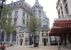 After the congress and before the dinner, there was time to visit Antwerp Zoo. ISC participants were able to visit this attraction, free of charge, for an hour.