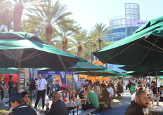 Street Food at the show