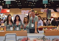 The team of Intergrow