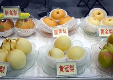 A number of pear varieties grown by Botou Yafeng.