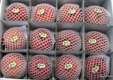 LuoChuan Apples.