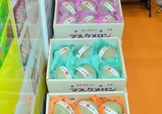 Japanese Hami melons grown in China by Liu Jingle and Zheng Jianjun of Hainan Pure Green Agricultural Research and Development.