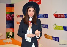 Welcome to the Chilean Pavillion.