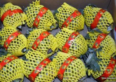 Produce of RuoQiang Ma of Shuang Yu (Thailand)