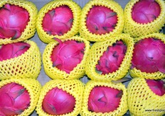 Produce of Beijing Brilliant Flourish Imp & Expo