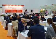 B2B business meetings